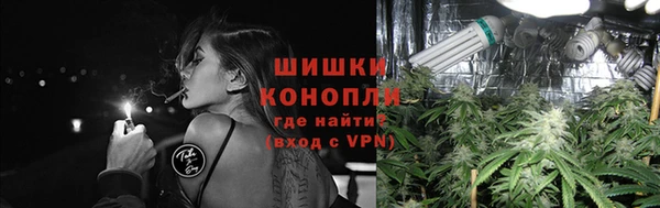 прущая мука Няндома
