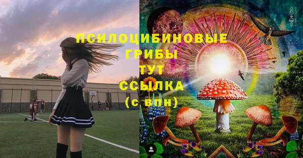 бошки Нязепетровск