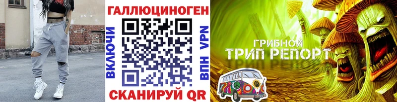 Псилоцибиновые грибы мухоморы  Нерчинск 